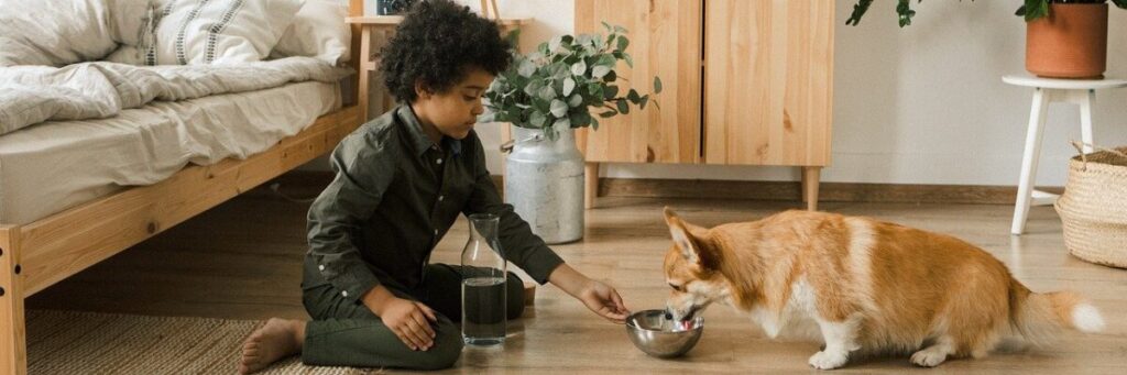 犬に水とご飯を与える黒人の男の子の子ども