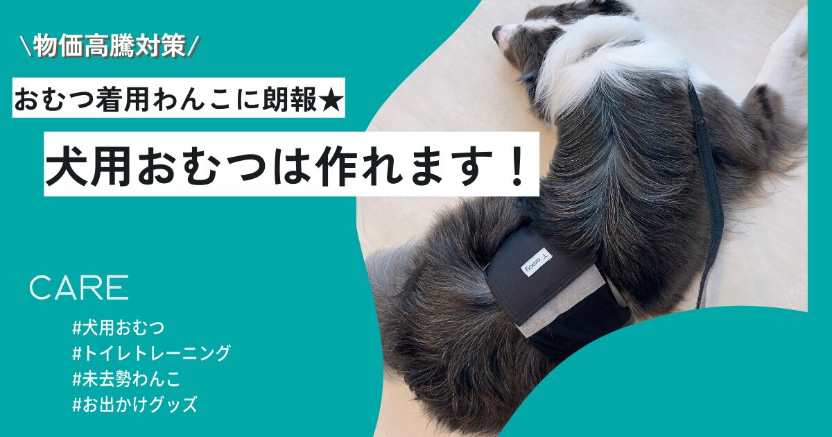 介護用おむつを犬用おむつに変身させる方法を紹介するブログ記事のアイキャッチ画像